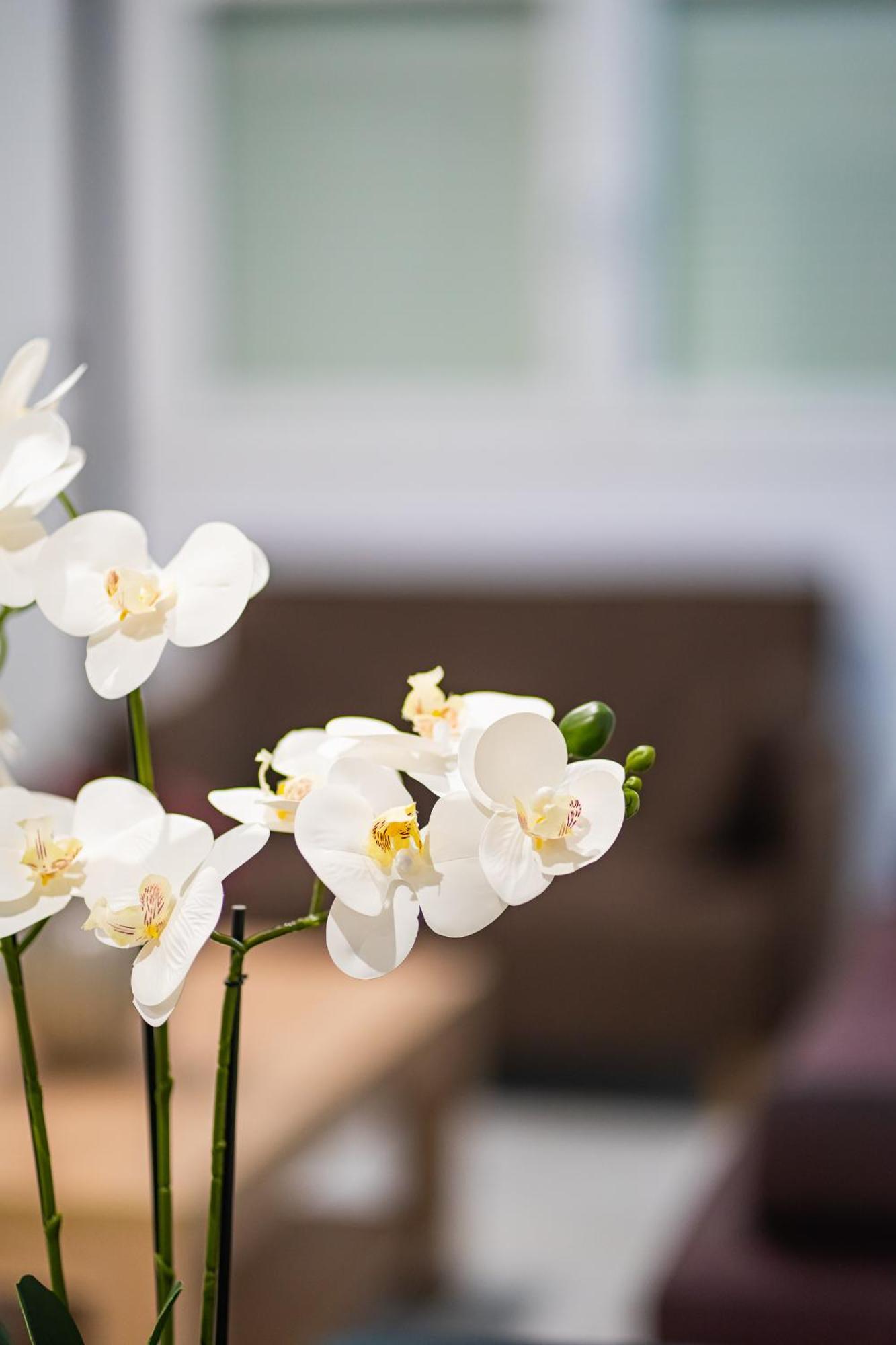 Feel Greek Hospitality #Θ005 Apartment Thessaloníki Ngoại thất bức ảnh