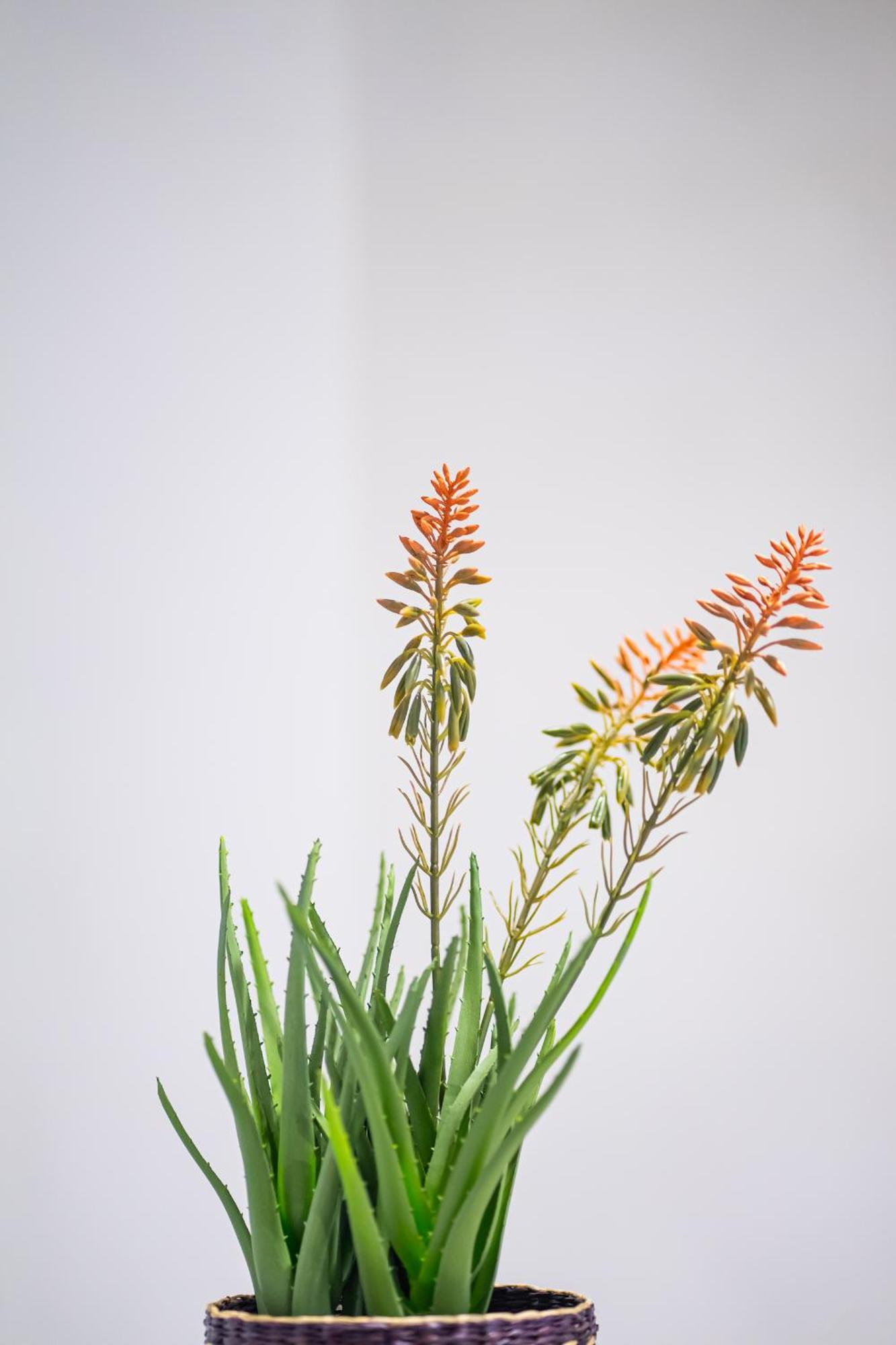 Feel Greek Hospitality #Θ005 Apartment Thessaloníki Ngoại thất bức ảnh