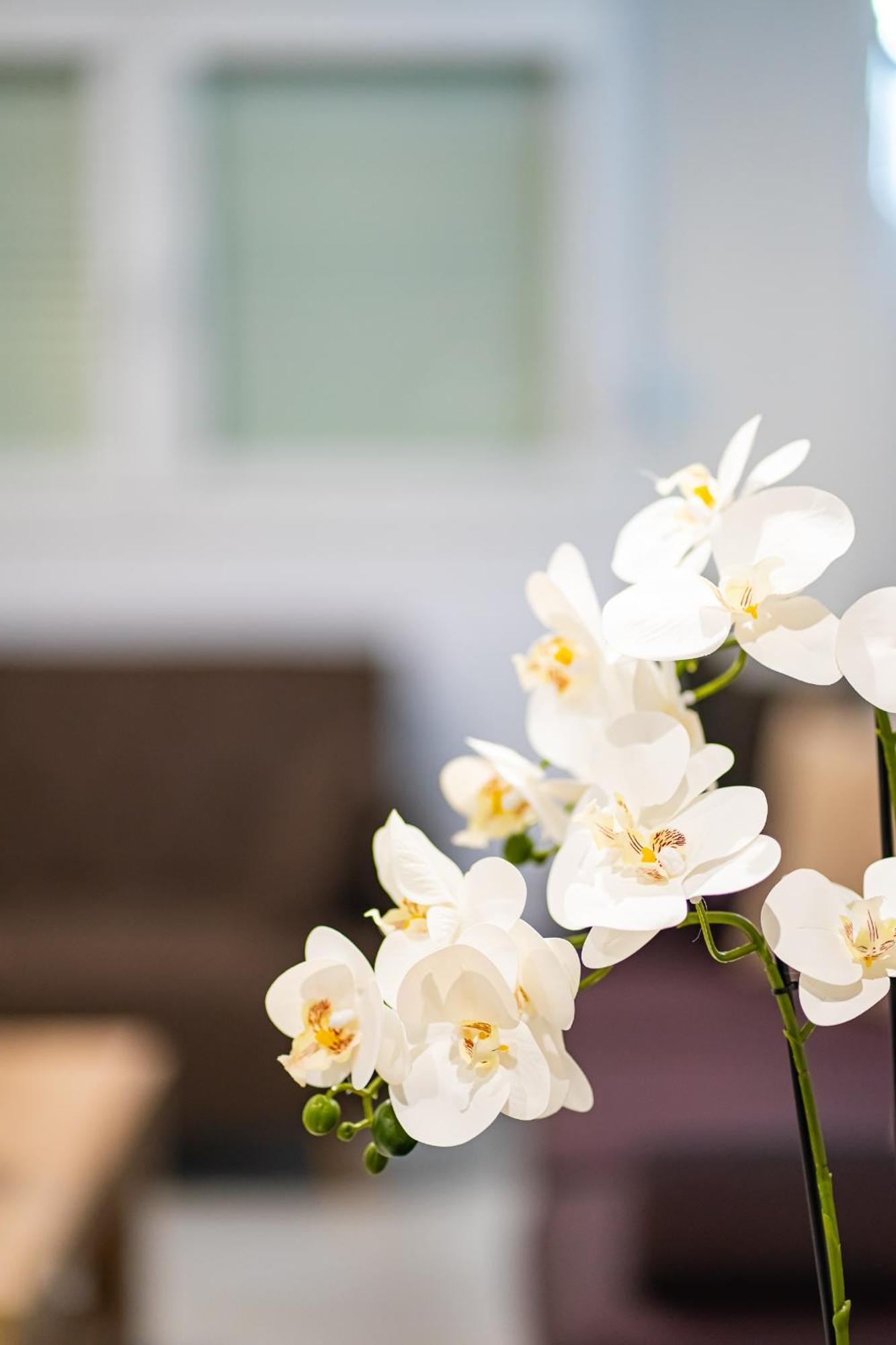 Feel Greek Hospitality #Θ005 Apartment Thessaloníki Ngoại thất bức ảnh